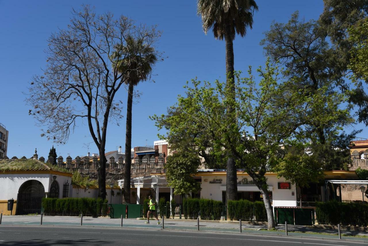 Modern Atico, Close Macarena/Sevilla Center エクステリア 写真