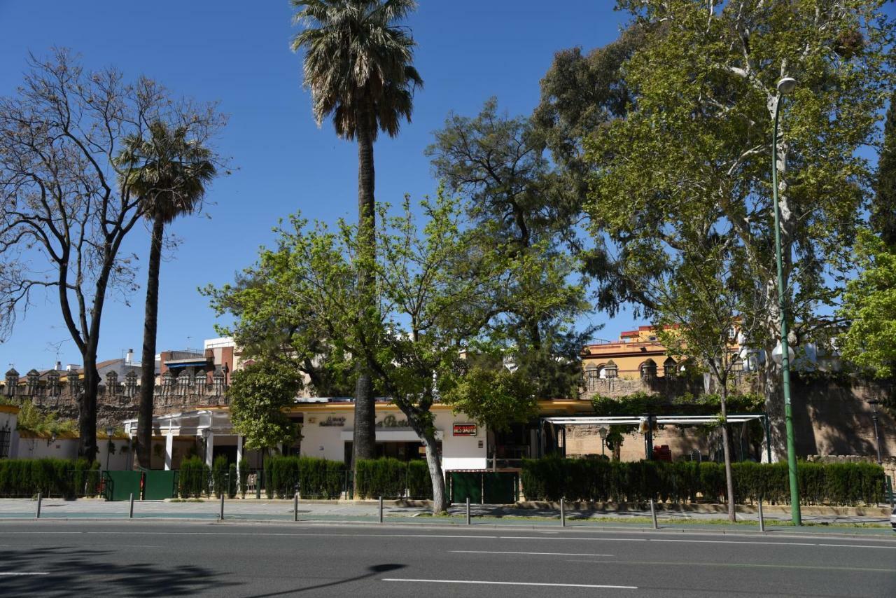 Modern Atico, Close Macarena/Sevilla Center エクステリア 写真